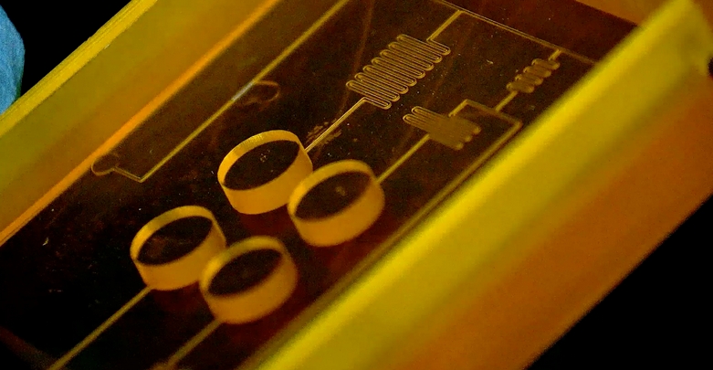 国产又黄又大又粗的视频